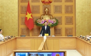 Luật Đất đai, Luật Nhà ở, Luật Kinh doanh bất động sản: Chưa địa phương nào ban hành đầy đủ văn bản