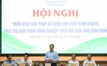 Bình Định: Triển khai giải pháp ổn định sản xuất kinh doanh, tiêu thụ sản phẩm nông nghiệp