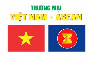 Thương mại Việt Nam - ASEAN đạt gần 55 tỷ USD