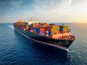 Cảng biển Hoa Kỳ đón lượng hàng nhập khẩu tăng mạnh dù có đình công