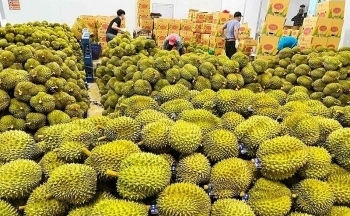 Xuất khẩu tăng trưởng mạnh, đóng góp tích cực vào nền kinh tế