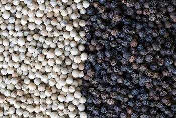 Dự báo giá tiêu ngày mai 13/10/2024: Xu hướng đi ngang, có thể tăng nhẹ nhưng ẩn chứa nhiều biến động