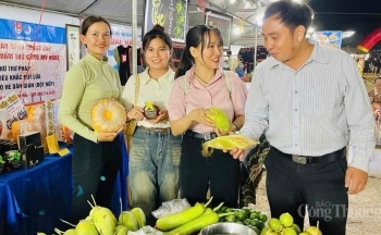 Gia Lai: Triển khai chỉ thị của Thủ tướng Chính phủ về kết nối giao thương, kích cầu tiêu dùng
