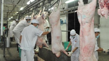 Đồng Nai: Phát triển công nghiệp giết mổ, chế biến hướng tới xuất khẩu