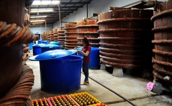 Kiên Giang: Khuyến công quốc gia hỗ trợ phát triển nghề chế biến nước mắm