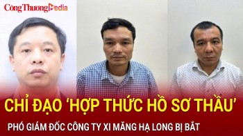 Chỉ đạo ‘hợp thức hồ sơ thầu’, phó Giám đốc Công ty xi măng Hạ Long bị bắt
