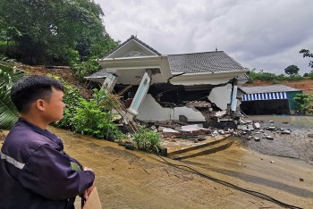 Chủ căn biệt thự gần 4 tỷ ở Hà Nội bị sập: 'Tôi quyết định trồng rau'