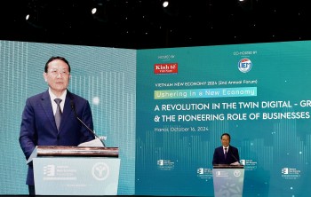 Phó Trưởng Ban Kinh tế Trung ương Nguyễn Hồng Sơn: Việt Nam đang thực hiện chuyển đổi 'kép'