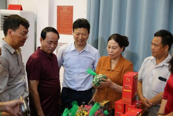 Bắc Ninh nỗ lực gìn giữ thương hiệu 'Tỏi một nhánh Gia Bình'