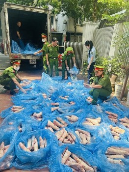 Thu giữ số lượng lớn móng giò lợn không rõ nguồn gốc