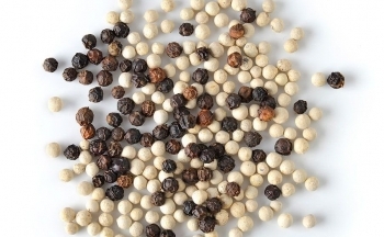 Lý do hồ tiêu Indonesia nhập khẩu vào Việt Nam tăng mạnh