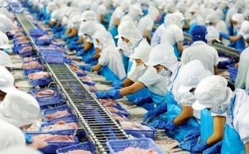 Doanh nghiệp cần phát triển các sản phẩm cá thịt trắng đáp ứng nhu cầu đa dạng của thị trường Trung Quốc