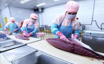 Nguyên nhân nào ảnh hưởng tới xuất khẩu cá ngừ sang thị trường Trung Đông?