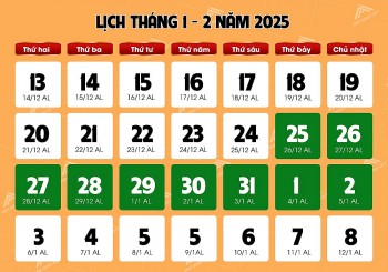 Trình Thủ tướng Chính phủ lịch nghỉ Tết Nguyên đán 2025