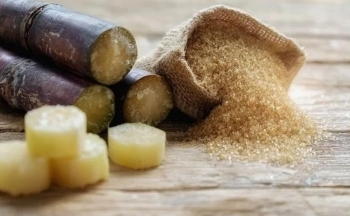 Rà soát nhà xuất khẩu mới trong vụ áp dụng chống lẩn tránh phòng vệ thương mại với đường mía