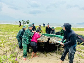 Bộ bội Biên phòng TP. Đà Nẵng tích cực hỗ trợ người dân ứng phó bão số 6