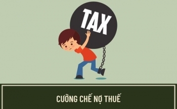 Hà Giang: Cưỡng chế thuế, ngừng sử dụng hóa đơn Công ty TNHH Bảo An