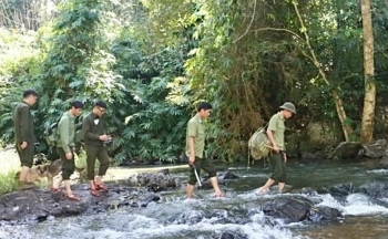 Gia Lai: Lực lượng bảo vệ rừng đối mặt với nhiều khó khăn, thách thức