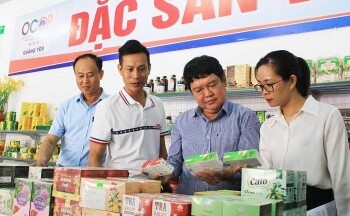 Tỉnh Quảng Ninh: Đẩy mạnh hỗ trợ, nâng tầm hợp tác xã
