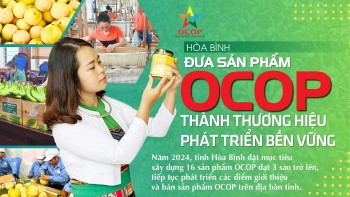Hòa Bình: Đưa sản phẩm OCOP thành thương hiệu phát triển bền vững