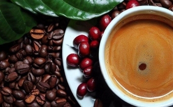 Vì sao giá cà phê Việt Nam bán sang châu Á lại đắt hơn châu Âu?