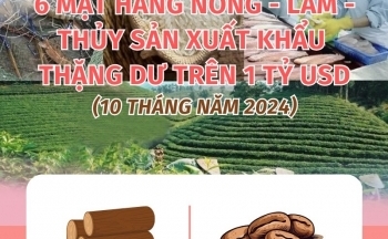 6 mặt hàng nông - lâm - thủy sản xuất khẩu thặng dư trên 1 tỷ USD