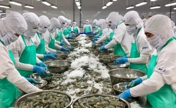 Tín hiệu khởi sắc giúp xuất khẩu thủy sản tăng tốc cuối năm