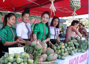 Phát triển sản phẩm OCOP Sơn La từ thế mạnh chủ lực
