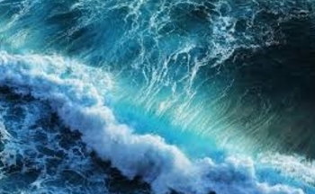 Thời tiết biển hôm nay 9/11: Bão số 7 mạnh nhất, giữ cường độ giật cấp 17, biển động dữ dội