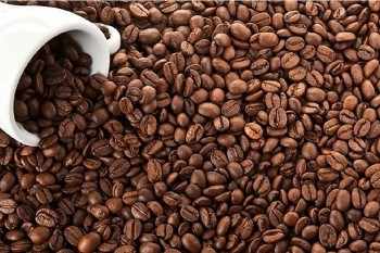 Giá cà phê hôm nay 9/11/2024: Trong nước tăng tới 2.700 đồng/kg, thị trường cà phê có nhiều tín hiệu tích cực