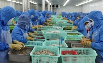 UKVFTA: Đòn bẩy thúc đẩy xuất khẩu thủy sản Việt Nam sang Vương quốc Anh