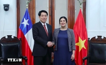 Chủ tịch nước Lương Cường hội kiến Chủ tịch Hạ viện Chile
