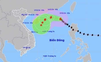 Tin mới nhất hôm nay 13/11: Bão số 8 giật cấp 12 gây mưa bão lớn, biển động rất mạnh