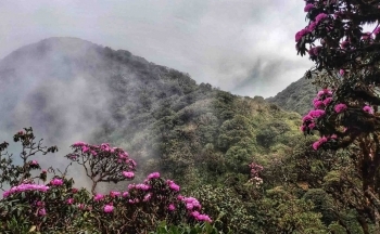 Lai Châu: Sắp diễn ra Lễ hội PuTaLeng huyện Tam Đường “Về miền đỗ quyên”