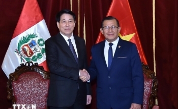 Chủ tịch nước Lương Cường hội kiến Chủ tịch Quốc hội Peru