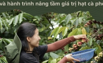 Cô gái Gia Lai bỏ phố về vườn và hành trình nâng tầm giá trị hạt cà phê