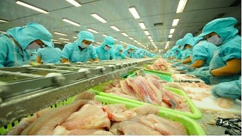 Hà Lan dẫn đầu EU về tiêu thụ cá tra Việt Nam