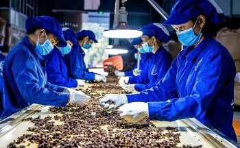 RCEP tạo 'con đường tơ lụa' cho hàng Việt khai thác thị trường ASEAN