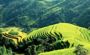 Lào Cai: Phát triển Làng du lịch cộng đồng Nghĩa Đô