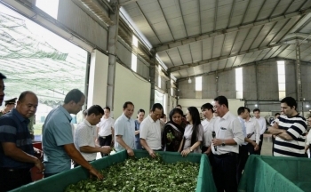 Lào Cai thu hút 84 dự án trong lĩnh vực nông nghiệp