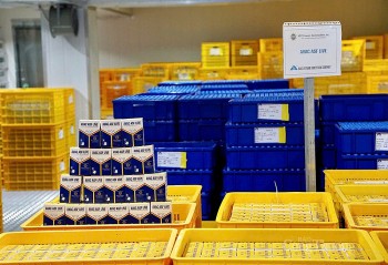 Indonesia sẽ nhập khẩu vaccine dịch tả lợn châu Phi của Việt Nam