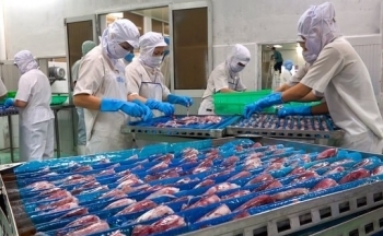 Truy xuất nguồn gốc thủy sản điện tử: Bước tiến mới trong xuất khẩu