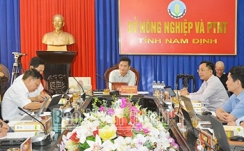 Nam Định phân hạng và công nhận lại 24 sản phẩm OCOP cấp tỉnh