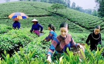 Bắc Giang: Tặng Bằng khen 6 tập thể, 16 cá nhân đóng góp phát triển vùng dân tộc thiểu số