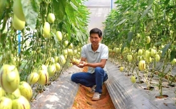 Nhiều cơ hội để du khách biết đến các sản phẩm du lịch vùng nông thôn Lâm Đồng