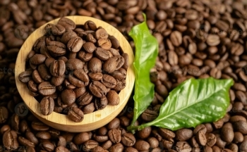 Quy định EUDR là cơ hội cho doanh nghiệp xuất khẩu cà phê Việt