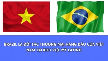 Infographic | Brazil là đối tác thương mại hàng đầu của Việt Nam tại khu vực Mỹ Latinh