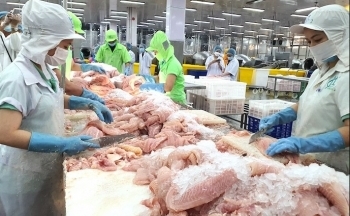 Xuất khẩu cá tra sang thị trường EU: Kỳ vọng tăng trưởng vượt trội cuối năm