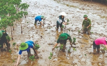 Ban hành kế hoạch quốc gia thích ứng với biến đổi khí hậu giai đoạn 2021-2030, tầm nhìn 2050