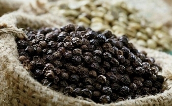 Xuất khẩu hồ tiêu có xu hướng chững lại